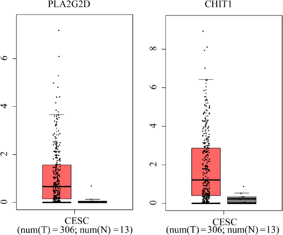 Fig. 8
The expression of PLA2G2D and CHIT1 between cervical squamous cell carcinoma (CESC) patients and normal samples