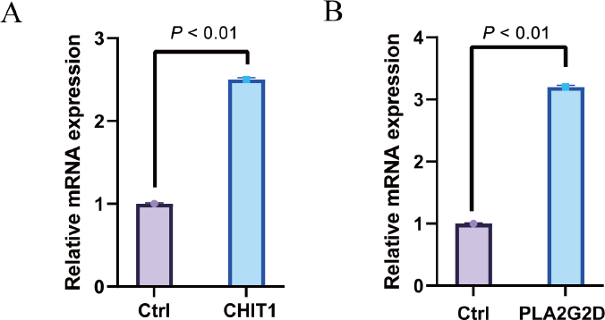 Fig. 10
The expression levels of CHIT1 and PLA2G2D genes in the cervical squamous cell carcinoma (CESC) and normal control group were detected by Real-time PCR