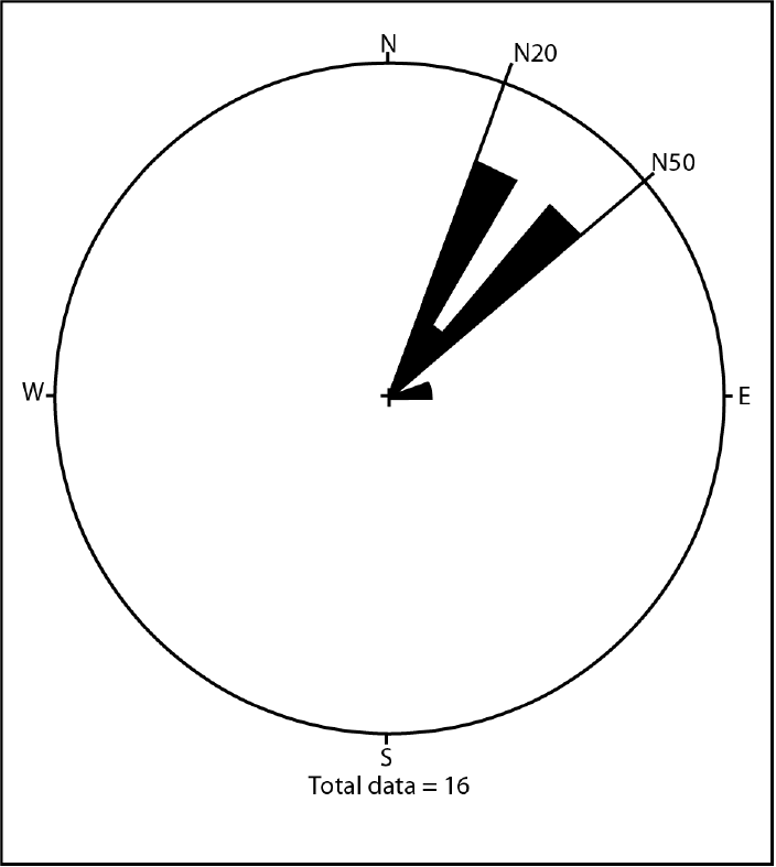 Figure 2 Rose diagram of Mongo doleritic dykes.