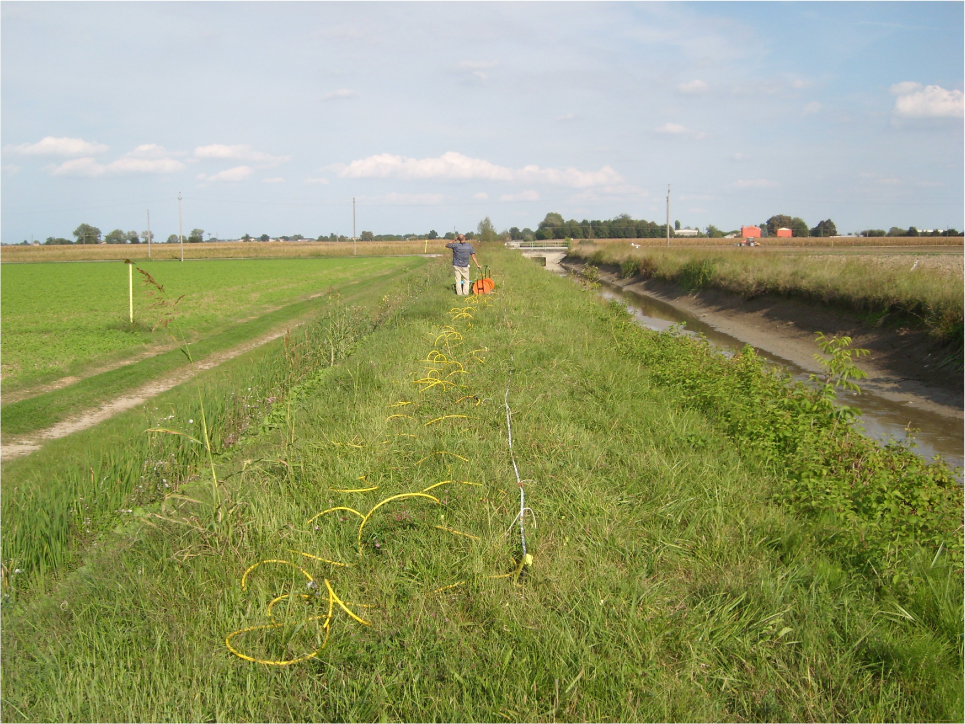 Figure 1 Earth levee and water channel (on the right) in test site A at the end of the irrigation season.