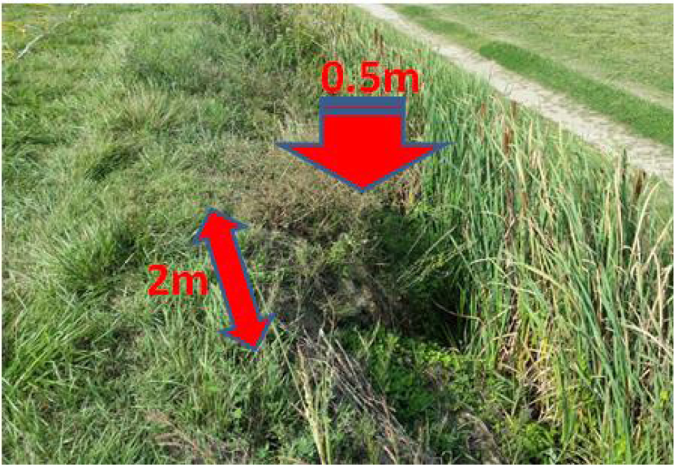 Figure 3 Small levee subsidence observed in test site A.
