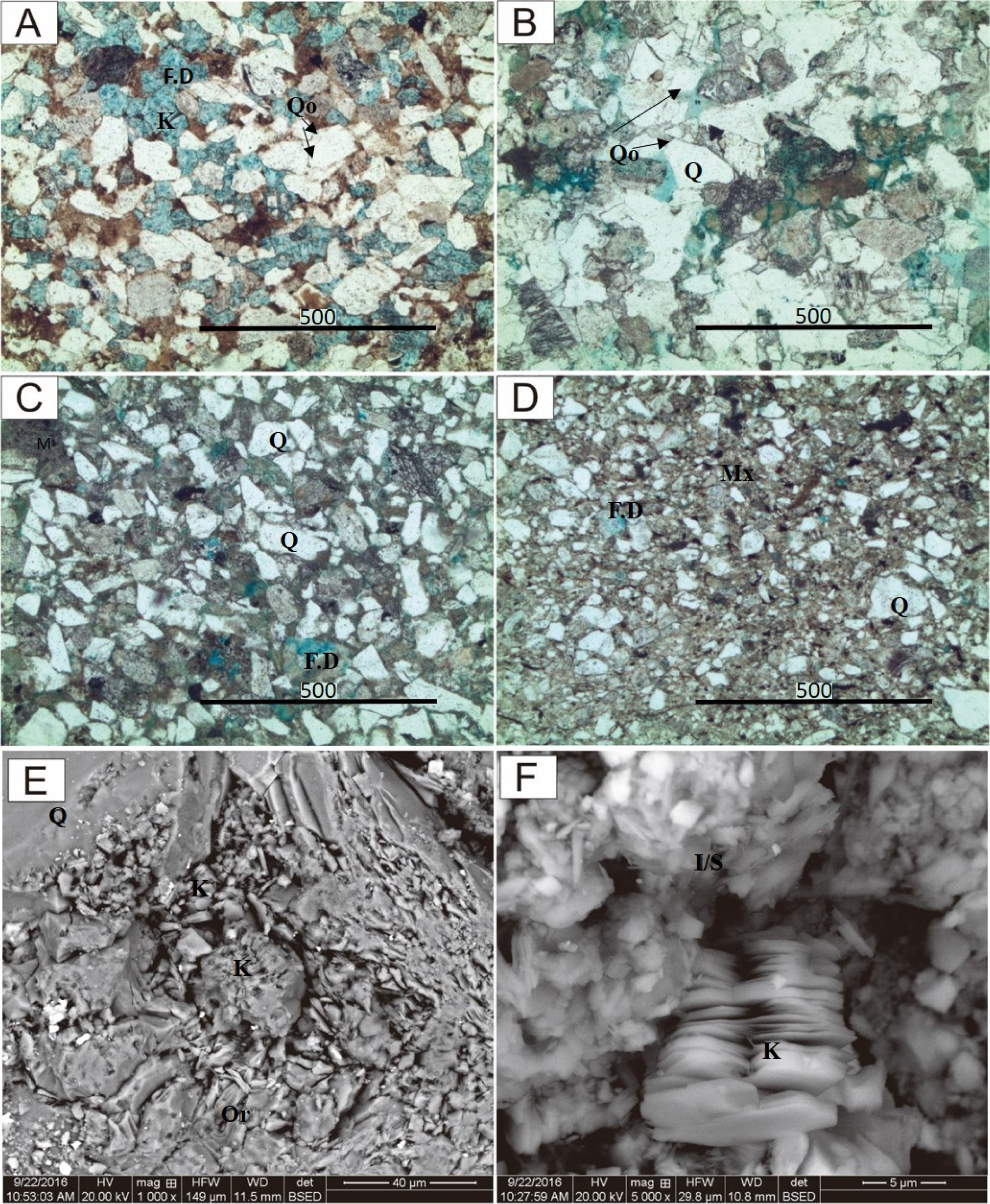 Figure 14 Thin-section photographs showing petrographic features of different architectural elements (A) Channel axis, High intergranular porosity, dissolved feldspar grain; (B) Levee or relative low intergranular porosity; quartz cement is prominent; (C) Lobe Axis, smaller grain size, relatively higher lithic content and less intergranular porosity; (D) Lobe Fringe, higher clay matrix, smaller grain size, very less porosity; (E) Authigenic kaolinite in dissolved Feldspar grain (Orthoclase); (F) Platy crystal structure in kaolinite and fibrous structure in illite-smectite mix layer. F.D-Dissoluted Feldspar, M-Mud intraclasts, Mx- Matrix, Q-Quartz, Qo-Quartz overgrowth, K-Kaolinite; I/S- illite/smectite mixed layer.