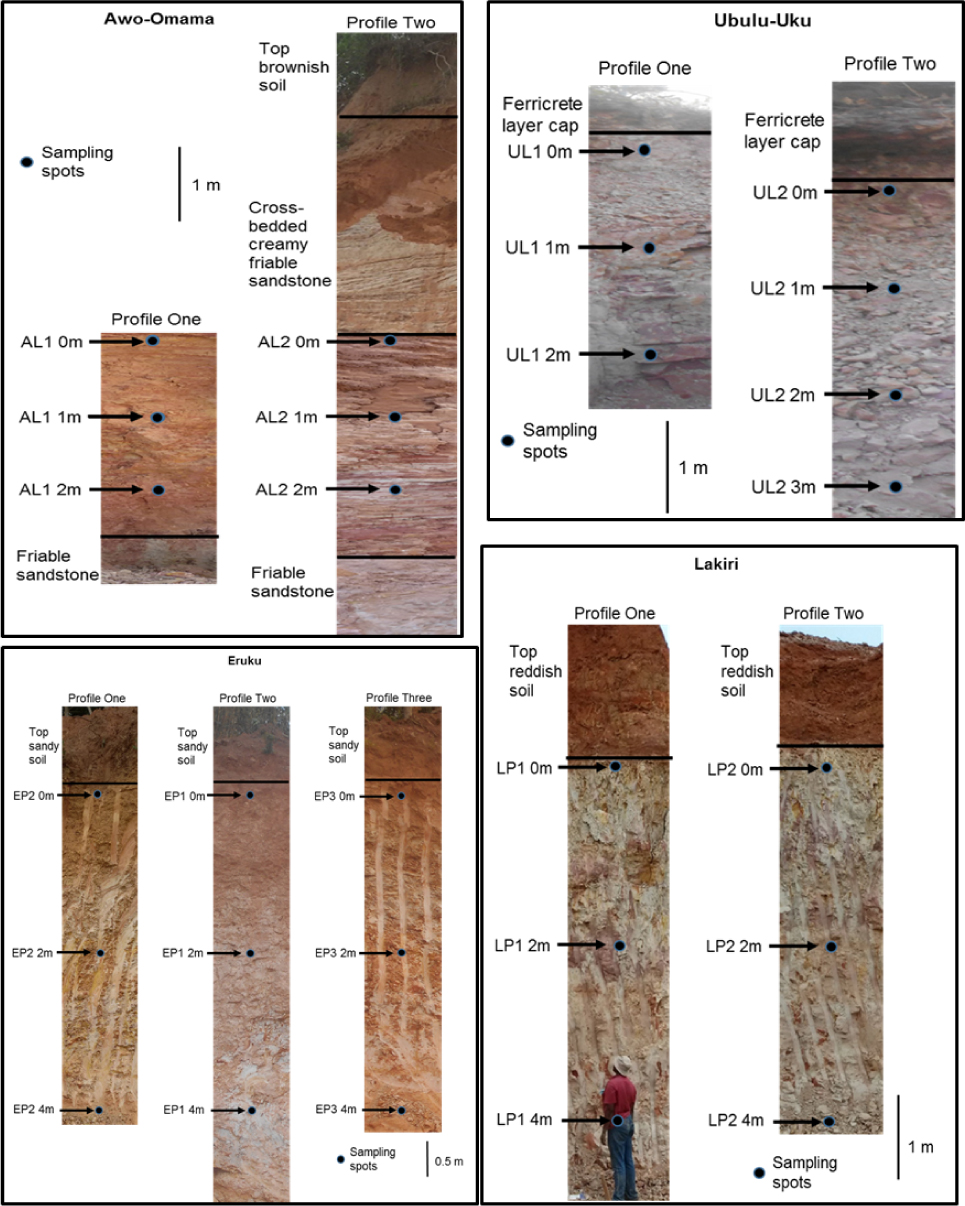 Figure 3 Vertical profiles showing sampling depths and lithologic units of the studied kaolin deposit.