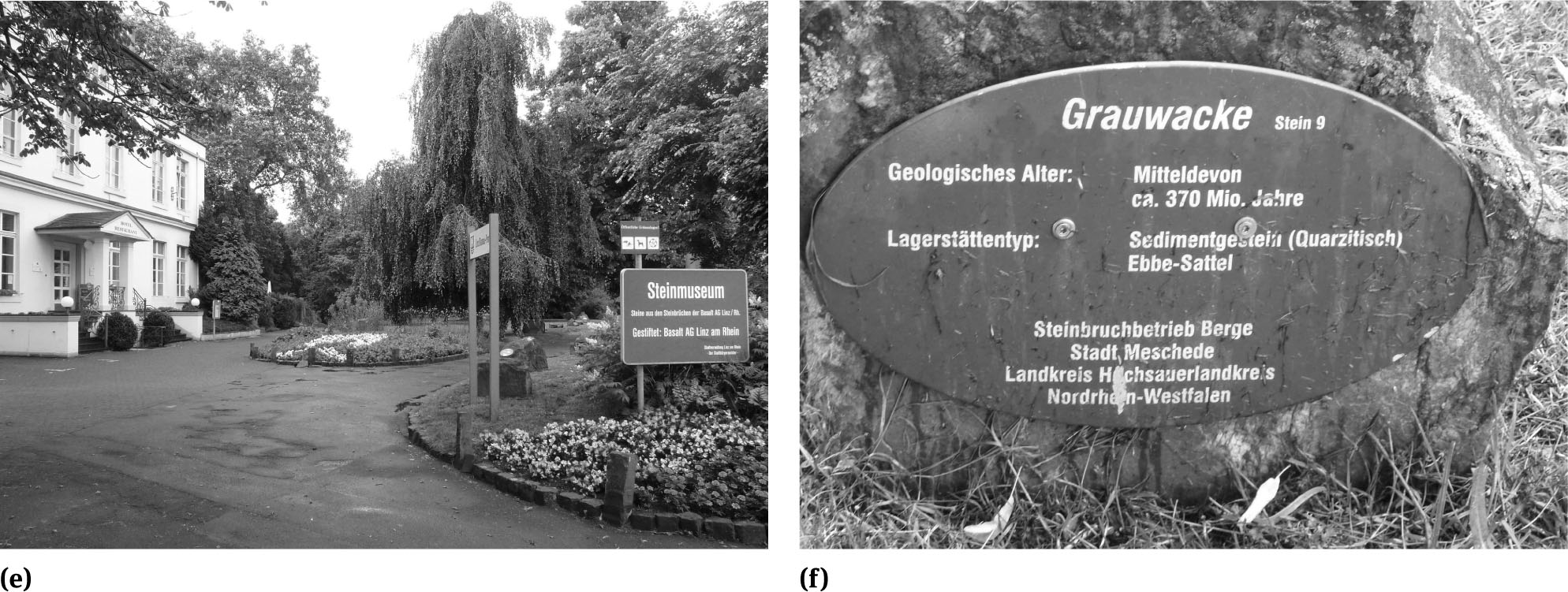 Figure 9 The Middle Rhine Sitese. Linz am Rhein stone museum – The entrance to the park setting of some twenty or so labelled stones that represent the local solid geologyf. Linz am Rhein stone museum – Each of the stones, such as this Middle Devonian greywacke, is clearly numbered and labelled with its type, geological epoch, age and original location
