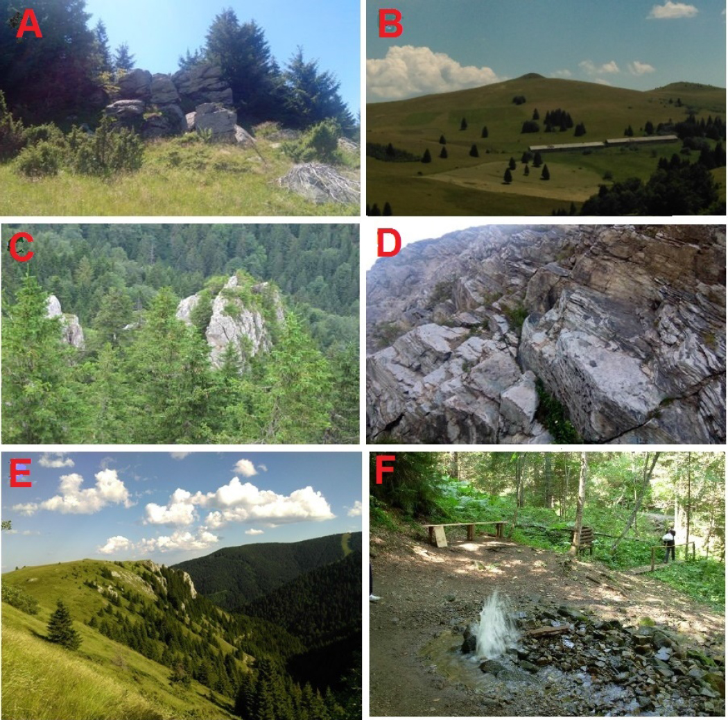 Figure 3 A-Velika Stena (GS1), B-Velika Šiljača (GS2), C-Oštri Krš (GS3), D-Jelica (GS4), E-Bela Stena-Žljeb (GS5), F-Gvozdac (GS6)