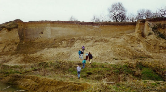 Figure 3 Southern loess wall within the excavation of the Trzebnica brickyard in the 90s of the last century –the place of the present documentary site "Loess of Vine Mountain" (photo: Z. Jary).