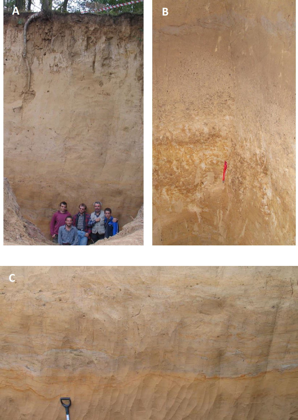 Figure 8 Loess section in Biały Kościół. A – The Upper Pleniweichselian loess with Holocene brown soil in the upper part; B - Eemian and Early Weichselian pedocomplex; C - Middle Pleniweichselian pedocomplex (photos: Z. Jary).