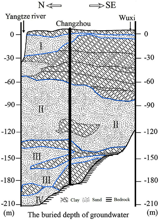 Figure 6 Cumulative displacements at locations P1-P4 (Figure 5) in the subsidence zone. The blue lines represent the water level.