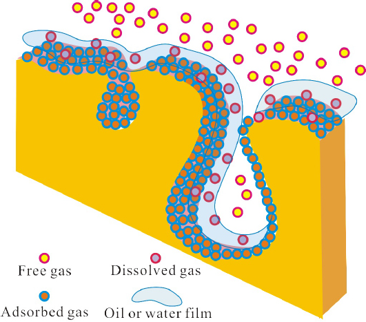 Figure 7 Hosting model of oil, gas and water within shale