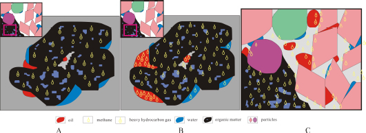 Figure 8 Schematic diagrams showing the shale gas accumulation processes in different stages of thermal maturation. (A) Hydrocarbon gas is absorbed by organic matters in the early stage; (B) hydrocarbon gas is dissolved in oil and water after the organic matter is saturated with gas; (C) free hydrocarbon gas is charging the pores after the organic matter, water and oil are saturated with gas