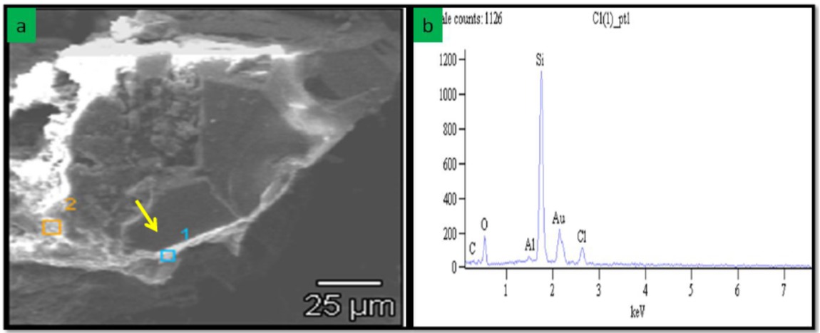 Figure 4 (a) SEM photomicrograph of sandstone sample from the Clarens Formation showing quartz cement (yellow arrow) (Sample C18). (b) EDX graph showing elemental composition of quartz at point 1 (blue area).