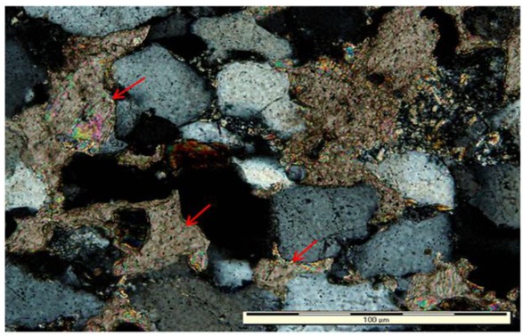 Figure 5 Thin section photomicrograph of sandstone from the Molteno Formation showing calcite cement (red arrows) (Sample Md9). The calcite also replaced detrital framework grains (far left arrow - the zigzag boundary is a sign of replacement).