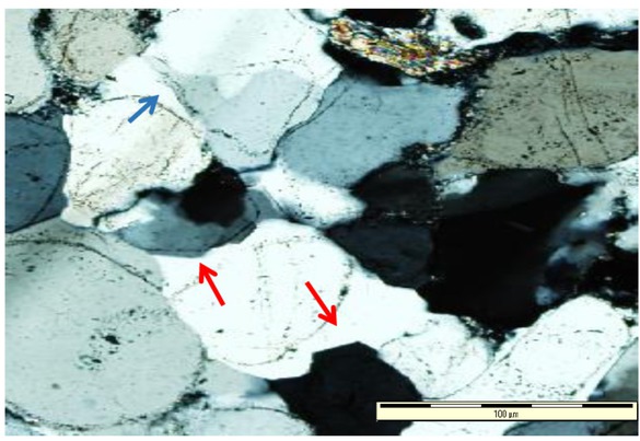 Figure 6 Thin section photomicrograph of sandstone depicting feldspar overgrowths (red arrows) and feldspar cement (blue arrow) (Sample Md9).