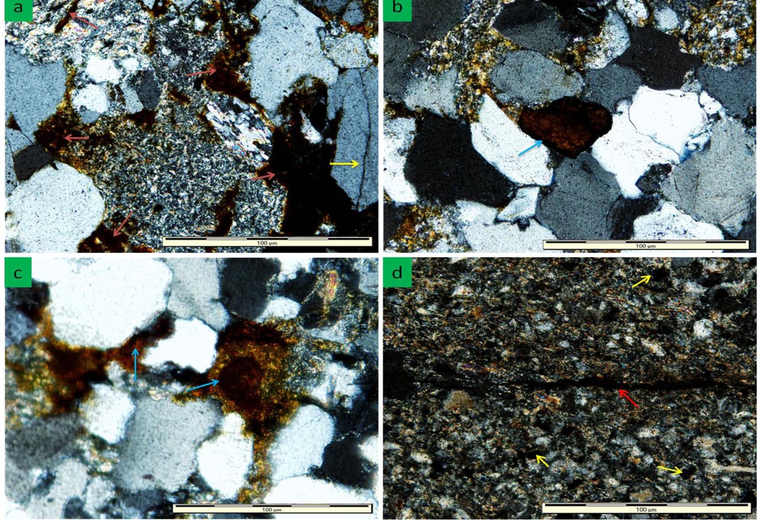 Figure 7 Thin section photomicrographs showing: (a) Hematite cement (brown arrow) and grain crack (yellow arrow) from sandstone of the Molteno Formation (Sample M14a). (b) Hematite pellet in sandstone of the Elliot Formation (Sample E7). (c) Hematite cement (left blue arrow) and pellet (right arrow) in sandstone of the Clarens Formation (Sample C9). (d) Siltstone with hematite pellets (dark points-yellow arrows) and also fills secondary stylolite fracture (red arrow) (Sample C9).