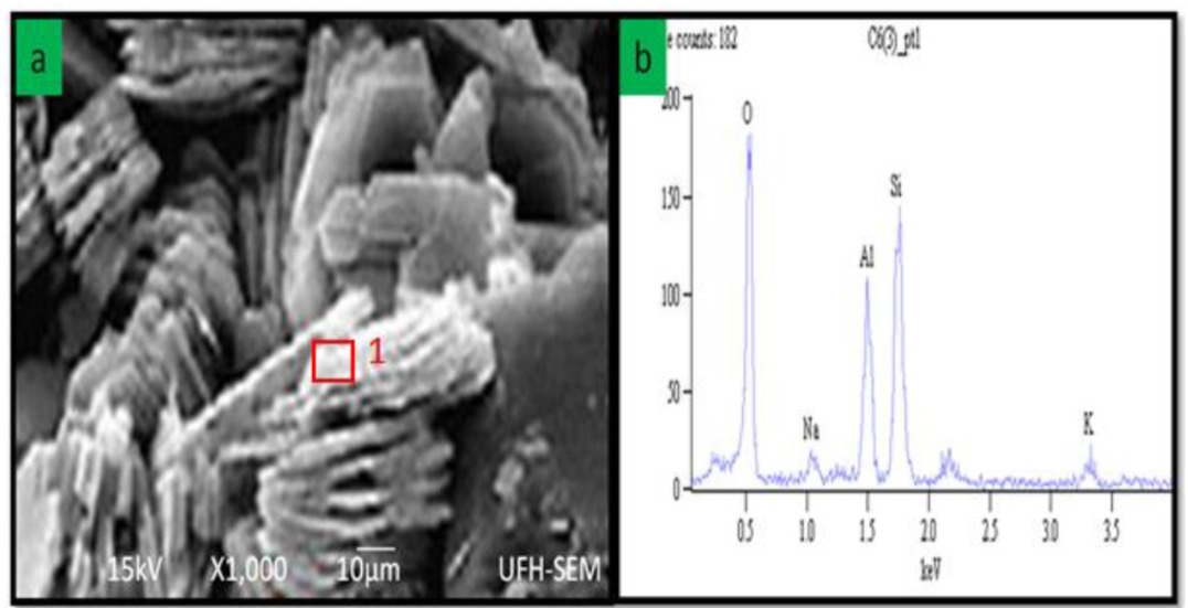 Figure 8 (a) SEM photomicrograph showing accordion or book-like kaolinite (Sample M14a). (b) EDX graph showing elemental composition of kaolinite at point 1 (ref area) (Sample M4).