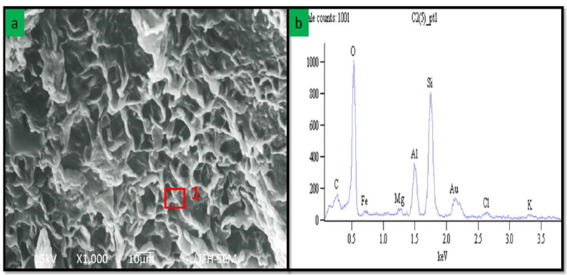 Figure 9 (a) SEM photomicrograph showing cornflake-shaped smectite (Sample C18). (b) EDX graph showing elemental composition of smectite at point 1 (red area).