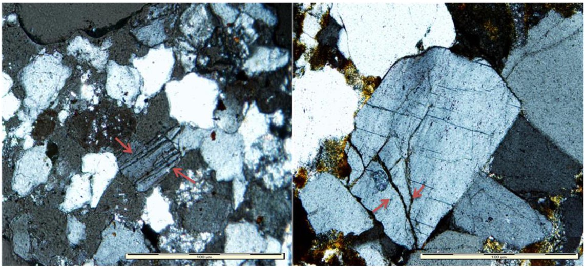 Figure 13 Photomicrograph of fractured grains (brown arrows) due to increased burial pressure during deep burial diagenesis (Sample Md9).
