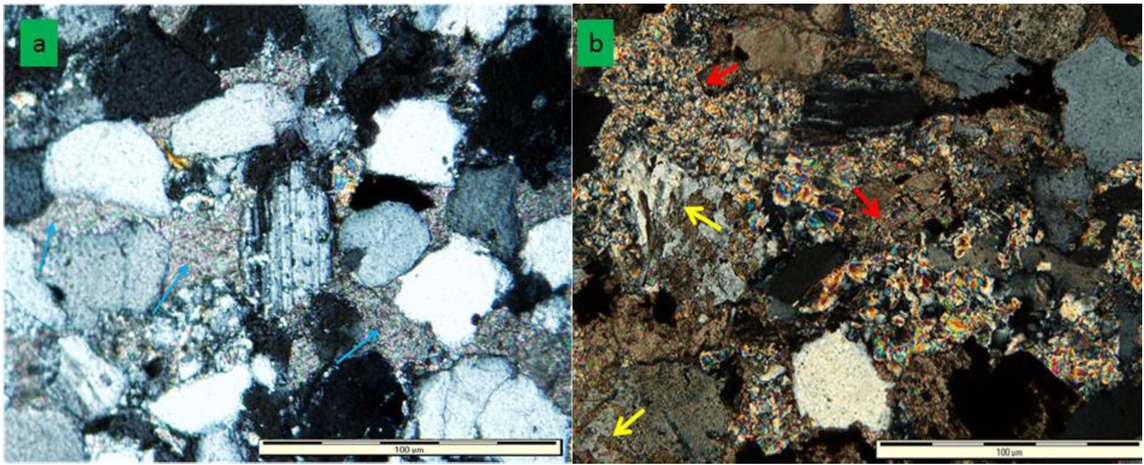 Figure 16 (a) Photomicrograph of sandstone from the Elliot Formation showing calcitization (blue arrows) of clay minerals (Sample E17b). (b) Photomicrograph showing calcite replacement of clay matrix (red arrow) and detrital grains (yellow arrows) (Sample E6b).