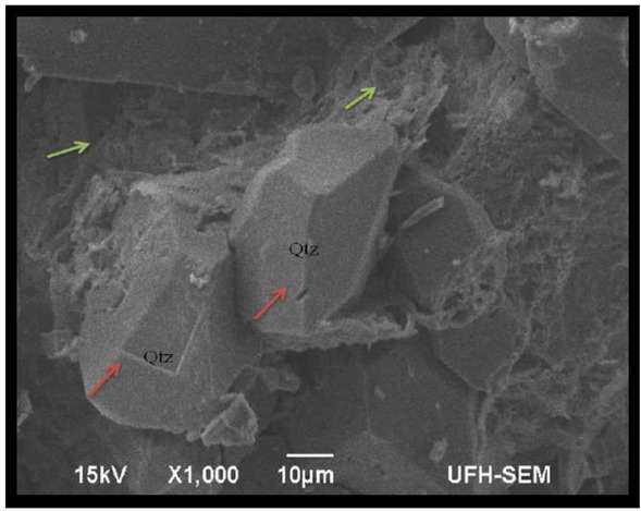 Figure 17 SEM image showing euhedral crystalline authigenic quartz (Qtz) and clay cements (green arrow) (Sample E17b).