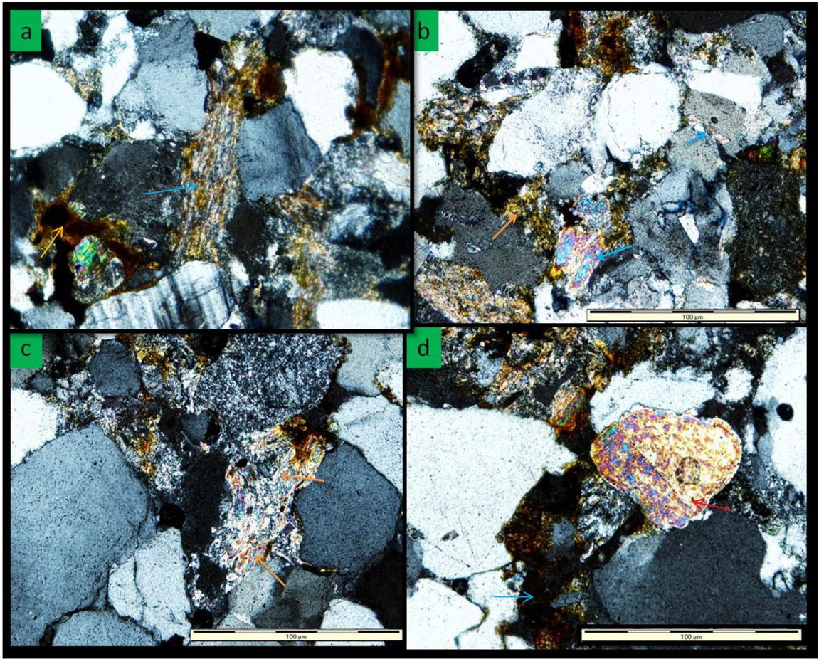 Figure 20 (a) Photomicrograph showing intense sericitisation (blue arrow) and hematite cementation (orange arrow) (Sample C18). (b) Recrystallization of clay minerals into muscovite (blue arrow) (muscovitization) and sericite (yellow crystals, orange arrow) (Sample E7). (c) Recrystallized clays being replaced by sericite (sericitisation) (Sample M4). (d) Detrital muscovite (red arrow) and hematite cement replacing clay matrix (blue arrow) (Sample M4).
