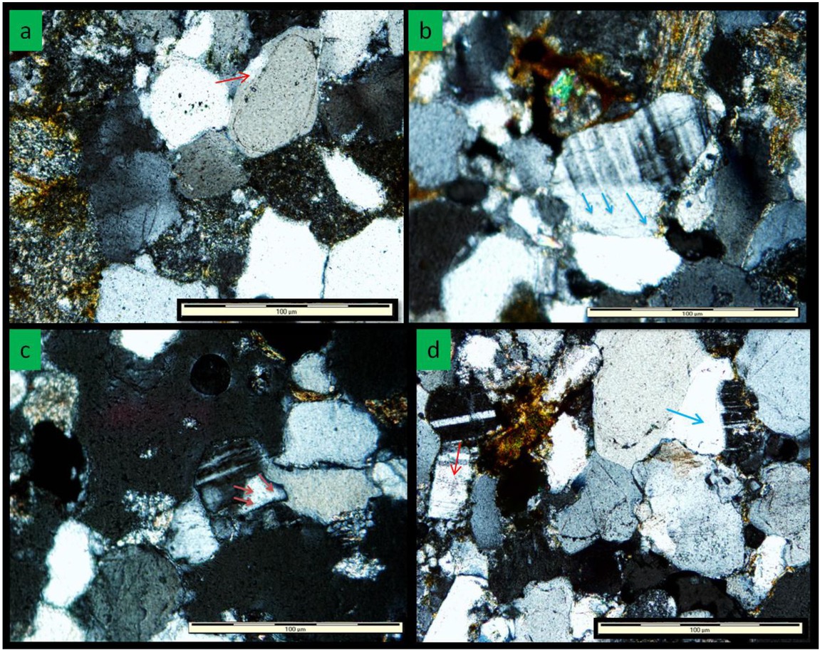 Figure 21 (a) Photomicrograph of recrystallized quartz in the form of overgrowths (red arrow) (Sample E17a). (b) Feldspar overgrowth which is partially albitized (blue arrow) (Sample C9). (c) Feldspar overgrowth (brown arrow) in sandstone from Molteno Formation (Sample M3b). (d) Quartz overgrowth (blue arrow) and feldspar overgrowth (red arrow) (Sample M3b).