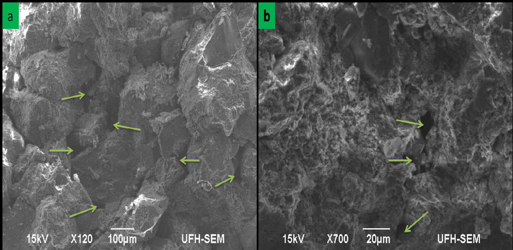 Figure 22 SEM images showing (a) primary intergranular pores in a sample from Clarens Formation (pointed by green arrows) (Sample Cd6d); and (b) secondary micro-pores from Elliot Formation (pointed by arrows) (Sample Cd6d).