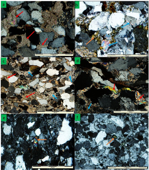 Figure 6 Photomicrograph showing: (a) calcite cement (red arrow) in sandstones of the Molteno Formation; (b) recrystallization of clay minerals into muscovite (blue arrow) and sericite (yellow crystals, orange arrow) in sandstone of the Elliot Formation; (c) calcite cement (red arrows) and clay matrix (blue arrows) in sandstone of the Clarens Formation; (d) detrital muscovite flakes (red arrows) and recrystallized clay matrix to muscovite (blue arrow) in sandstone of the Elliot Formation; (e) detrital muscovite in sandstone of the Molteno Formation; (f) weathered heavy mineral rutile (arrow) in the sandstone of the Clarens Formation.