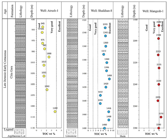 Figure 3 Total Organic Carbon (TOC wt%) of Chia Gara Formation in the studied wells