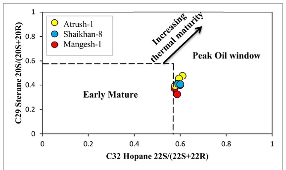 Figure 11 Cross plot of (20S/20S+20R) C29 Sterane vs. 22S/(22S+22R) C32 Hopane showing maturity and potentiality of Chai Gara Formation in the studied wells