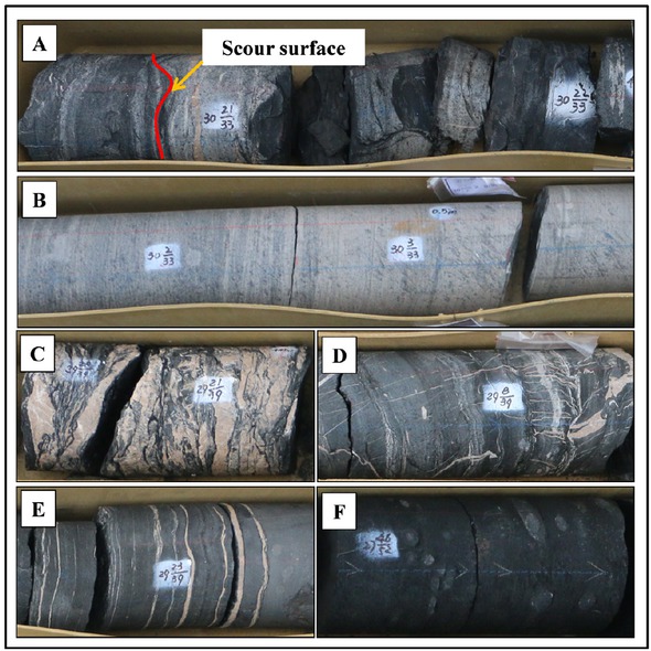 Figure 5 Sedimentary structures in shale in the Lower Cambrian Wangyinpu Formation from the Jiangye-1 well. A: Scour surface, B: Columnar structures; C: Vein structures; D: Contraction-like structures; E: Horizontal laminated bed structures; F: Nodules. See Figure 1 for the well location.