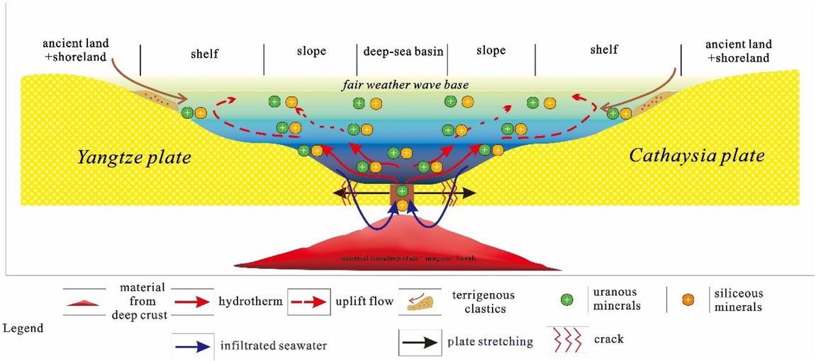 Figure 8 The model of the source of silicon element and uranium element in the Xiuwu Basin during Early Cambrian. 20%–40% of silicon comes from seafloor hydrothermal fluids, the rest comes from terrigenous detritus; more than 90% of uranium comes from seafloor hydrothermal fluids, less than 10% from terrigenous detritus.