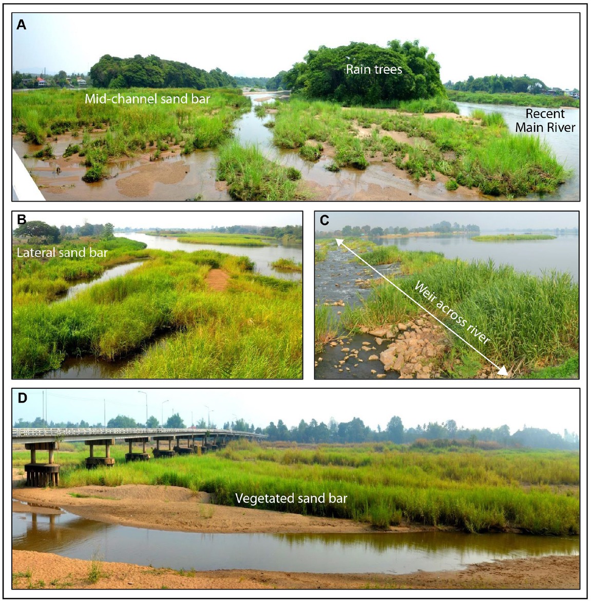 Figure 4 Characteristics of sand bars deposited in the Lower Ping River. (A) Downstream view of the Lower Ping River immediately below the Ban Tak Bridge. (B) Downstream view of sand bars the Lower Ping River immediately below the Thammarong Bridge. (C) An example of the temporally weir built across the Lower Ping River, view is on the west. (D) Downstream view along the Lower Ping River immediately below the Thap Na Khon Tri Truing Bridge. Note vegetation encroachment onto sand bars and inside channels.
