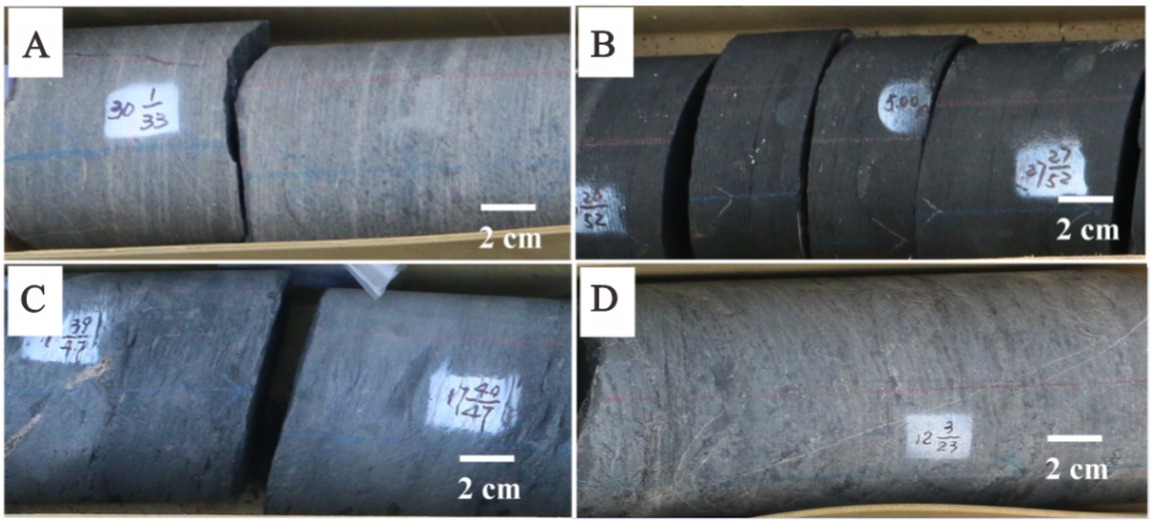 Figure 2 Core photos of Well Jiangye-1. A: Upper Sinian Piyuancun Formation 2675m, gray siliceous dolomite; B: Lower Cambrian Wangyinpu Formation 2638m, dark siliceous shale; C: Lower Cambrian Guanyintang Formation 2546m, dark gray siliceous shale; D: Middle Cambrian Yangliugang Formation 2511m, gray microcrystalline limestone. See Figure 1 for the location of the well site.