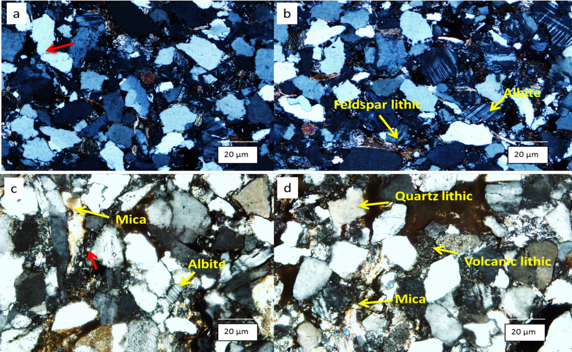 Figure 4 Thin section photomicrograph of the sandstones from the upper Ecca Group (a) Feldspathic graywackes of the Ripon Formation, red arrow depict polycrystalline quartz with two quartz grains; (b) Feldspar lithic and albite in sandstone from the Ripon Formation; (c) Framework minerals of the Fort Brown Formation, red arrow depict feldspar grains undergoing alteration to kaolinite; (d) Quartz and volcanic lithics of the Fort Brown Formation.