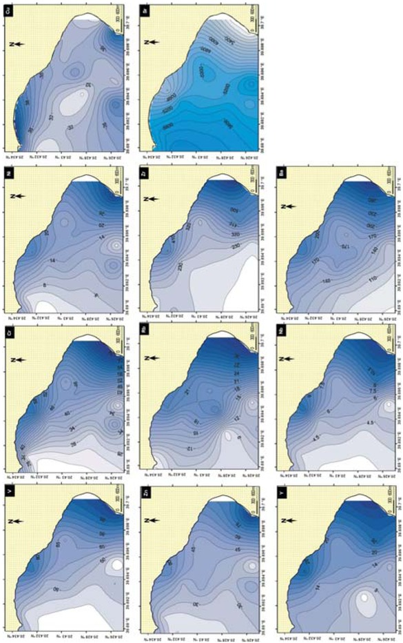 Figure 5 Contour maps showing the spatial distribution of major oxides (%) in the bottom sediments of Al-Mejarma Lagoon