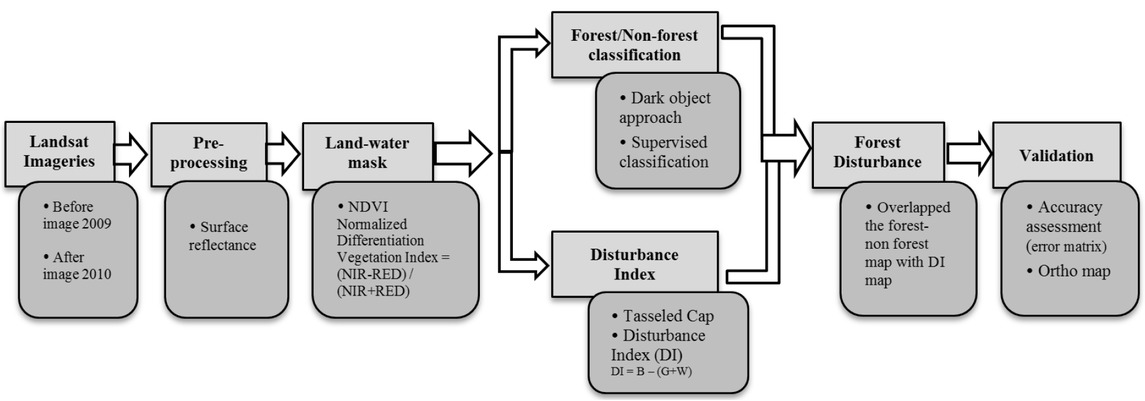Figure 3 Methodological steps