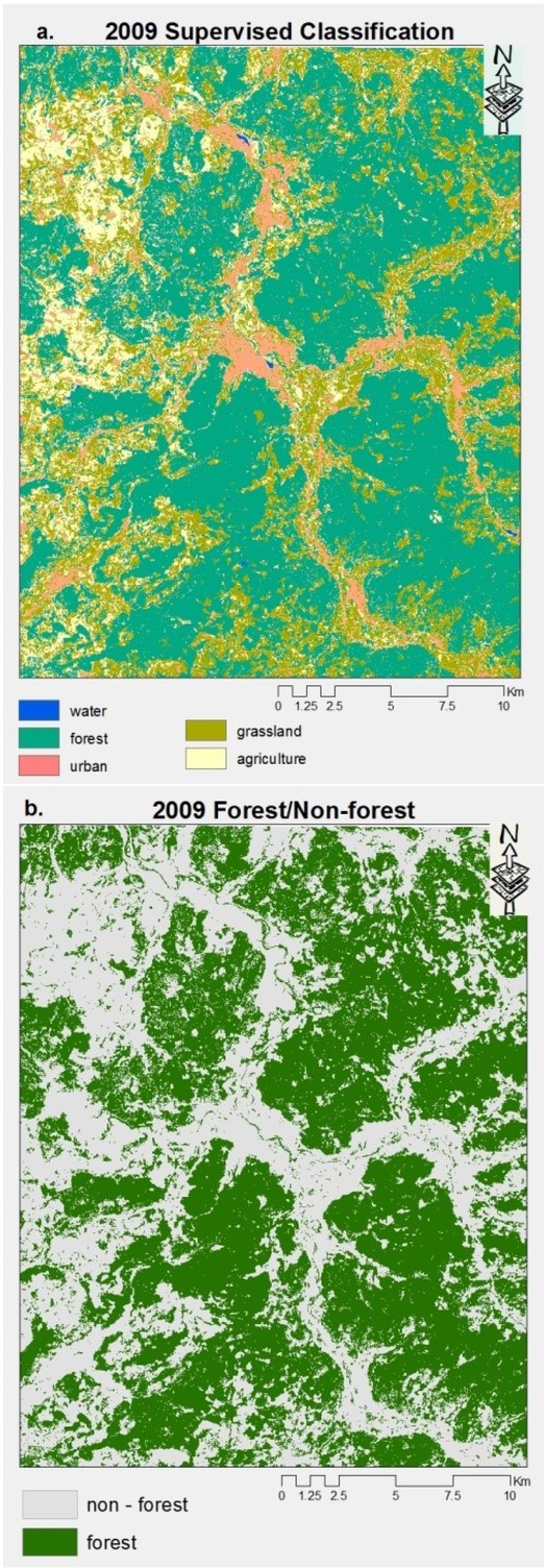 Figure 5 Supervised classification (a) and forest/non-forest classification (b)