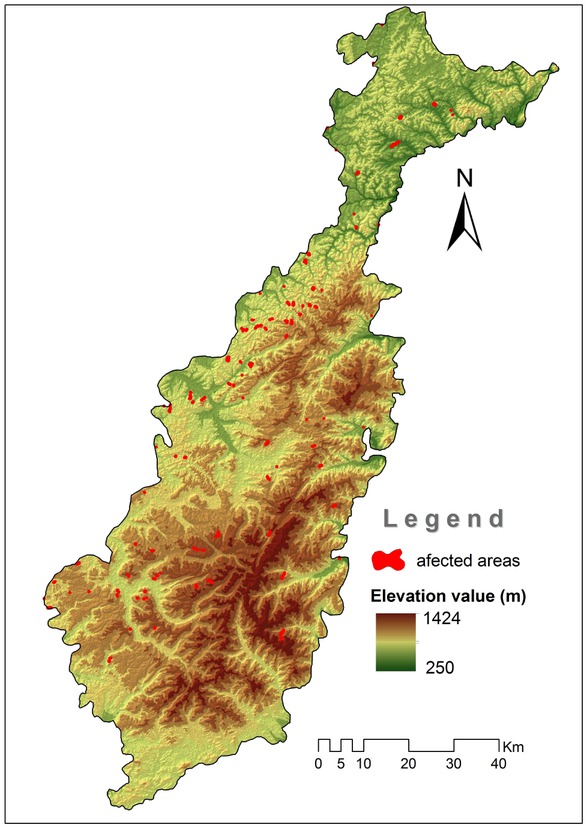 Figure 6 Areas affected by diffuse windthrow