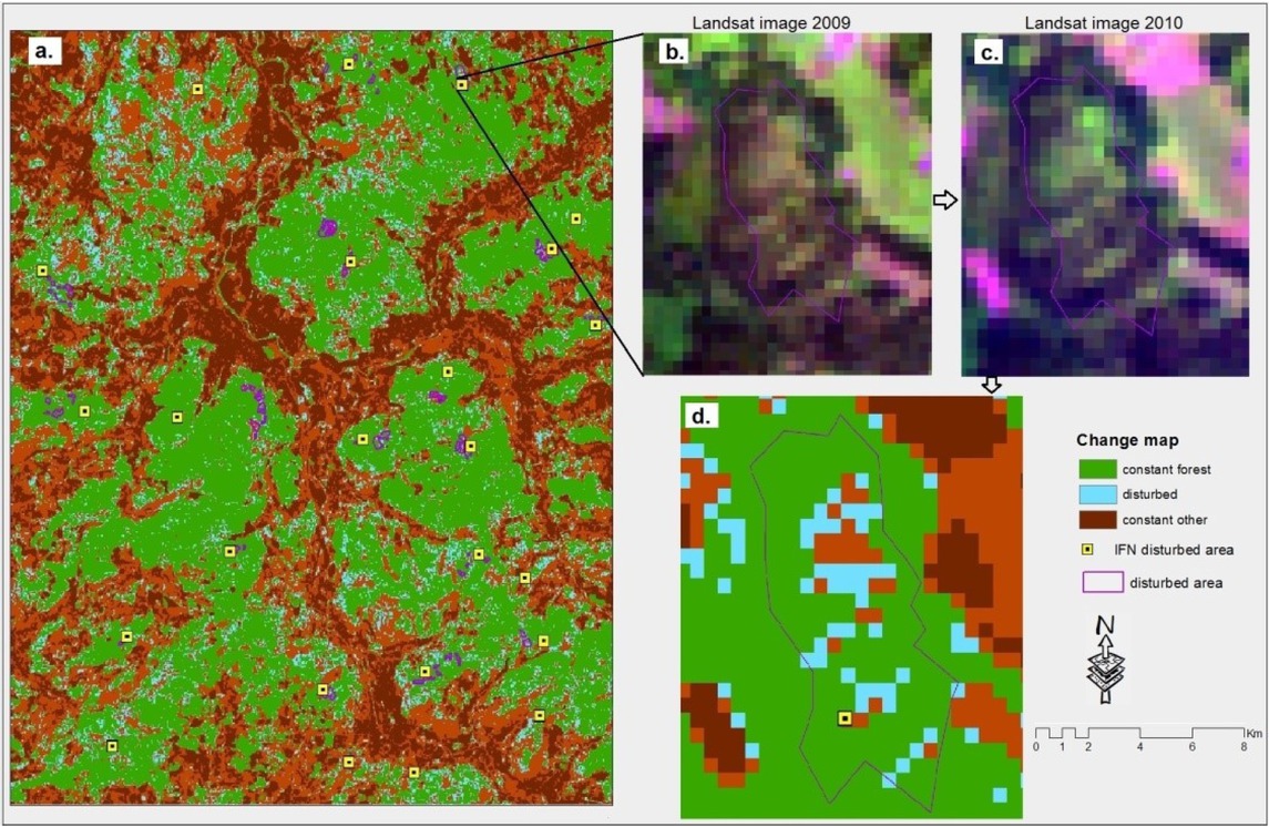 Figure 7 Forest change map (a) overlapped with the polygons resulting from the detection process, as well as the points where windthrows occurred in 2010 (according to INF): one polygon overlapped with the 2009 satellite image (b), and the 2010, respectively (c), and a zoom on the same polygon (d)