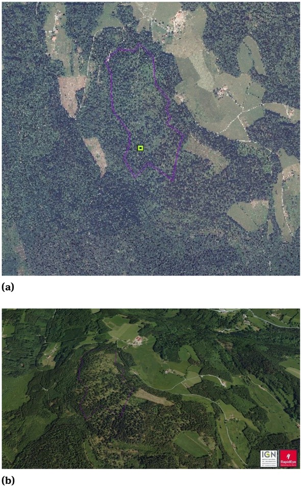 Figure 8 Overlapping a polygon extracted through the detection process with the 2009 orthophoto (a) and with the satellite image in 2010 (b)