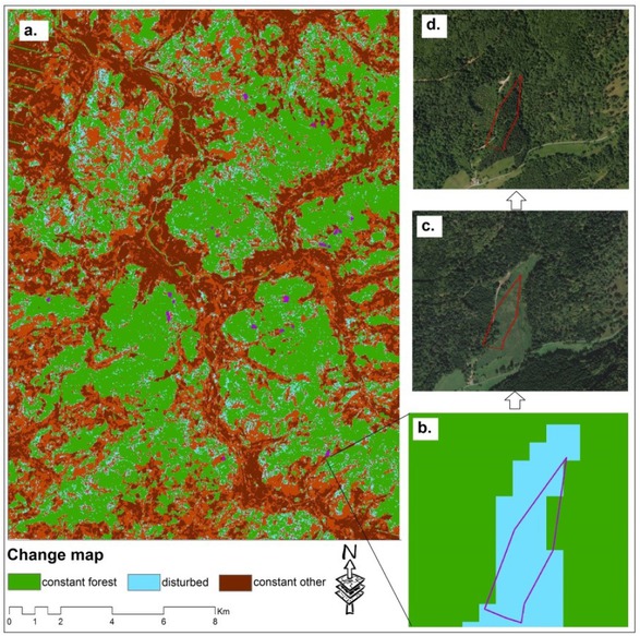 Figure 9 The forest change map overlaid with the polygons resulting from the detection process (a); zooming one polygon (b); the same polygon overlapped with the 2009 Google Earth satellite image (c) and from 2010, respectively (d)