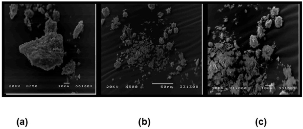 Figure 4 Scanning electron microscope of Aswan raw and modified clay sediment
