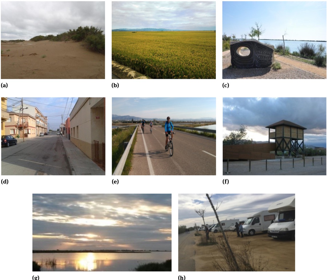 Figure 3 Examples of photographs. An example of the commonest subtype is recorded. (a) Natural landscape (beach, dune field); (b) Rural landscape (rice crop); (c) Cultural landscape (monument, sculpture); (d) Urban landscape (road); (e) Recreation and social situations (cycling); (f) Facilities and infrastructures (vantage point); (g) Emotional reactions (sunset, sunrise); (h) Disturbing elements (cars parked in prohibited areas).