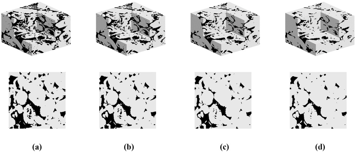 Figure 4 The μ-CT scanned digital rock sample C1 of carbonate rock used in this study