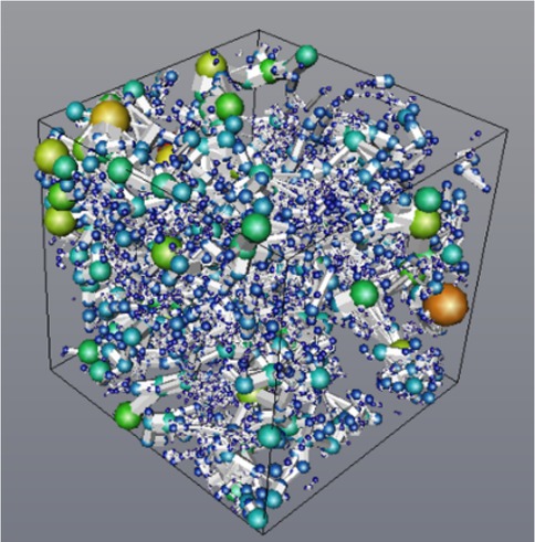 Figure 7 Sections of fractured carbonate digital rock models with different fracture widths