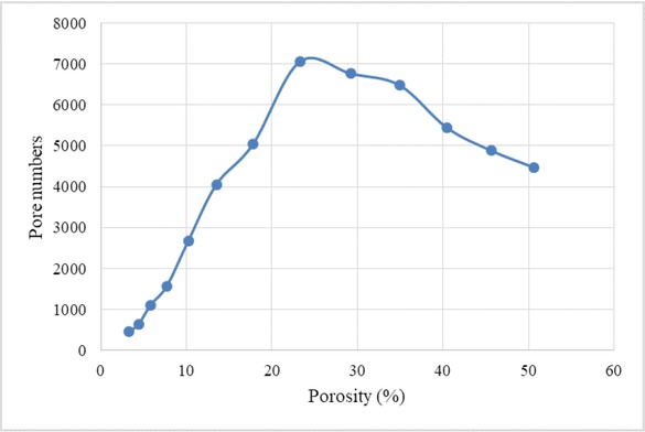 Figure 9 Pore network of C1 digital rock model