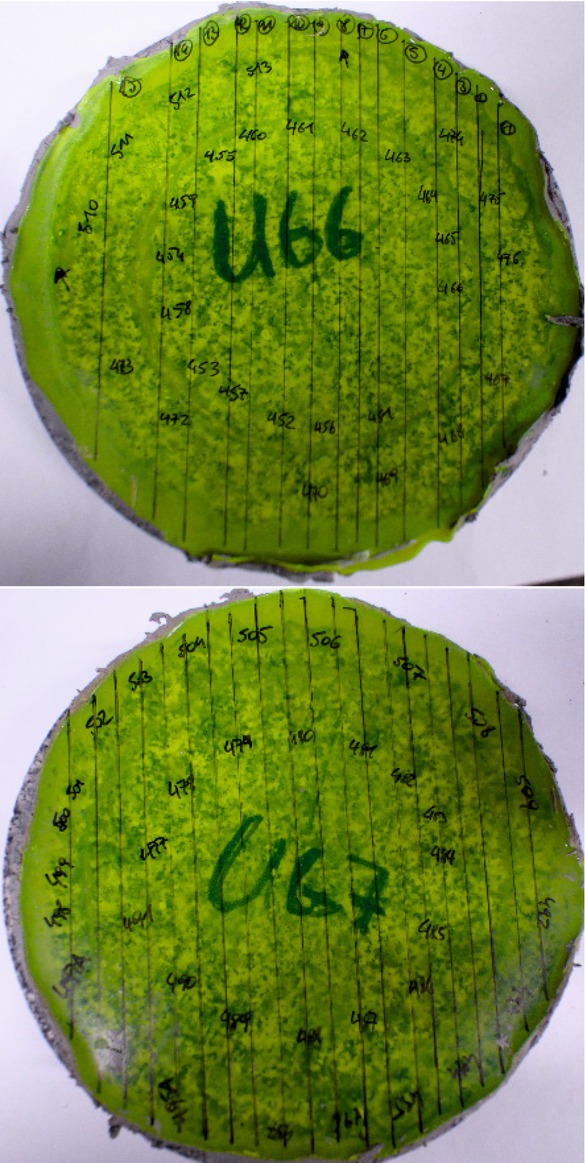 Figure 9 Saturated rock specimens with guidelines for cutting.