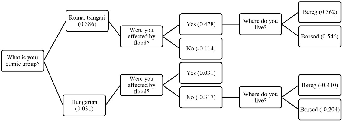 Figure 2 Three-node depth decision tree of flood affection, ethnicity, and subsample area. Source: edited by the authors