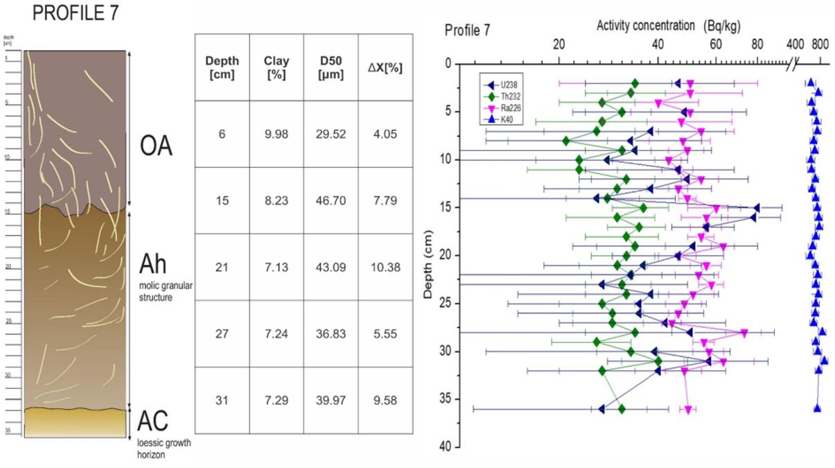 Figure 8 Soil horizons with the vertical distribution of clay content, soil grain size, magnetic data and natural radionuclides for the reference profile 7.