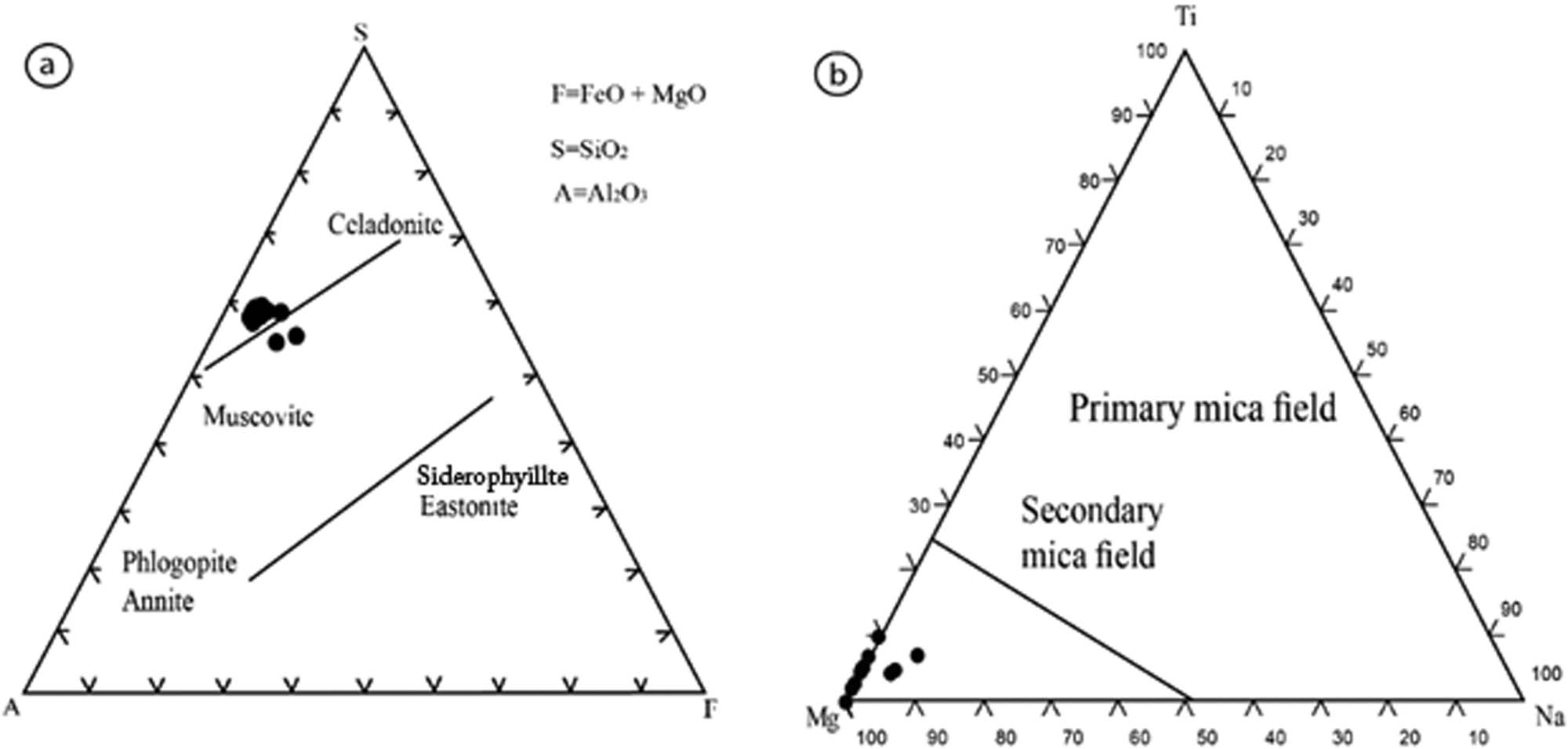 Figure 15 (a) Classification of the white mica of the quartz diorite dykes (DK1a) based on their chemical composition [19]. (b) Distinction of primary white mica (magmatic) from alteration types [27].